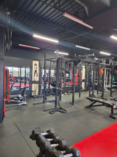 Commerce - 200-2-255 Boul. De La Concorde O., Laval (Laval-Des-Rapides), QC - Indoor Photo Showing Gym Room