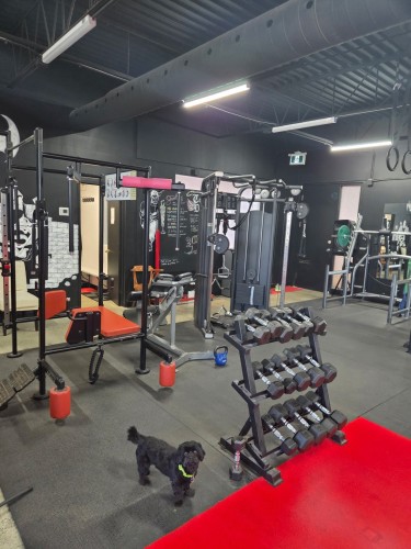 Commerce - 200-2-255 Boul. De La Concorde O., Laval (Laval-Des-Rapides), QC - Indoor Photo Showing Gym Room