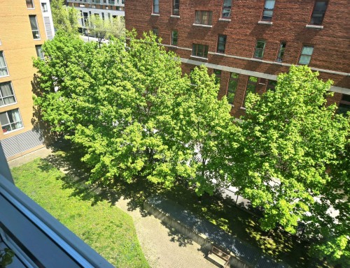 Garden - 614-88 Rue Charlotte, Montréal (Ville-Marie), QC - Outdoor