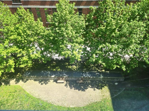 Garden - 614-88 Rue Charlotte, Montréal (Ville-Marie), QC - Outdoor