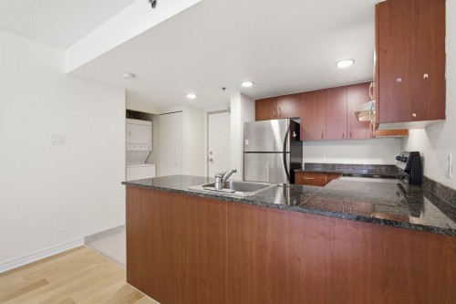 Kitchen - 614-88 Rue Charlotte, Montréal (Ville-Marie), QC - Indoor Photo Showing Kitchen With Double Sink