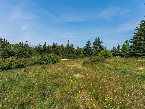21 Bear Point Road, Bear Point, NS 