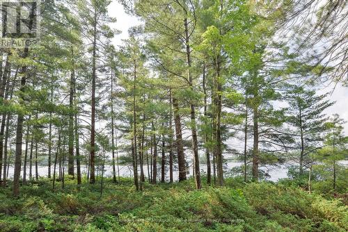 18 5Kl Island Kahshe Lake, Gravenhurst (Morrison), ON 