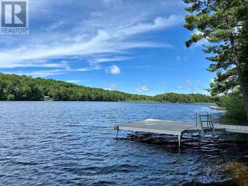 Cottage # 9 - 1006 Youngs Road, Muskoka Lakes (Medora), ON 