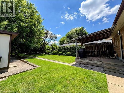 Expansive green lawn with mature trees and established perimeter hedging - 699 Frederick Street, Kitchener, ON 