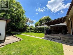 Expansive green lawn with mature trees and established perimeter hedging - 