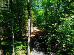LOT 6 FAIRY FALLS ROAD Lake Of Bays (Mclean), ON P0B 1A0