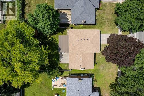 Property featuring a light brown shingle roof, a paved driveway, and established trees - 99 Lorraine Avenue, Kitchener, ON - Outdoor
