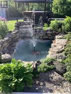 Pond - 
