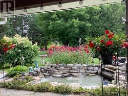 Pond and gardens - 