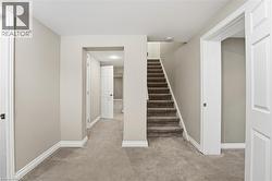 Stairway with carpet flooring and baseboards - 