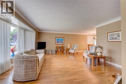 Spacious living area featuring wood-finish flooring, neutral wall tones, white trim, and a large bay window with full-height curtains - 