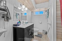 Lower Level Bathroom - 