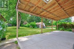 Backyard - 