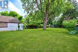 Backyard - 