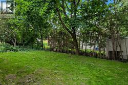 Backyard - 