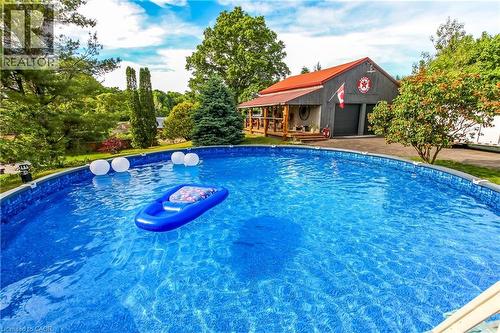657 Windham Road 14 Road, Simcoe, ON - Outdoor With Above Ground Pool With Backyard