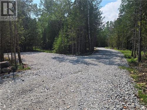 392 Goose Gap Cres., Barrie Island, ON - Outdoor