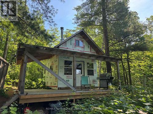 7 BOURBONNAISE ISLAND  Parry Sound Remote Area (Wilson), ON P0H 1Y0