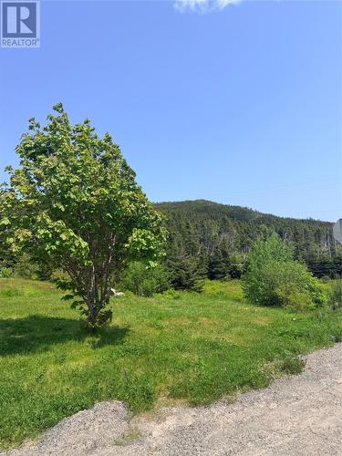 Back yard - 3 Main Road, Trouty, NL 