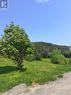Back yard - 3 Main Road, Trouty, NL 