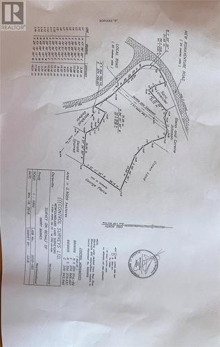 Survey - 3 Main Road, Trouty, NL 