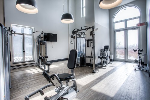 Salle d'exercice - 417-1800 Boul. René-Lévesque O., Montréal (Ville-Marie), QC - Indoor Photo Showing Gym Room