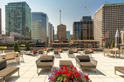 Terrasse - 