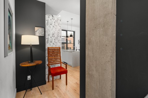 Hall d'entrée/Vestibule - 506-1115 Rue Du Square-Amherst, Montréal (Ville-Marie), QC - Indoor Photo Showing Other Room