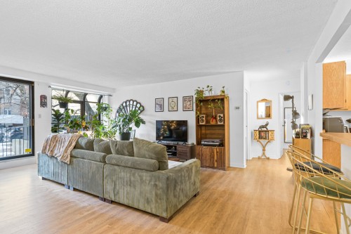 Salon - 101-3470 Rue Durocher, Montréal (Le Plateau-Mont-Royal), QC - Indoor Photo Showing Living Room