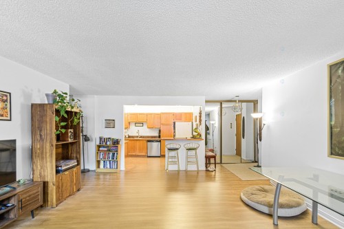 Salon - 101-3470 Rue Durocher, Montréal (Le Plateau-Mont-Royal), QC - Indoor Photo Showing Living Room