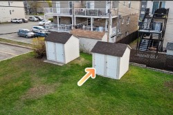 Shed - 