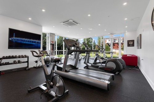 Other - 404-2200 Rue Harriet-Quimby, Montréal (Saint-Laurent), QC - Indoor Photo Showing Gym Room