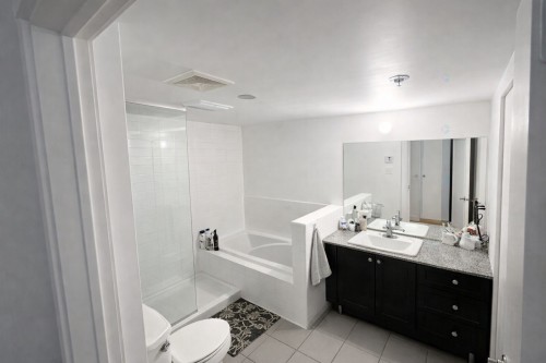 Salle de bains - 1261-10650 Place De L'Acadie, Montréal (Ahuntsic-Cartierville), QC - Indoor Photo Showing Bathroom