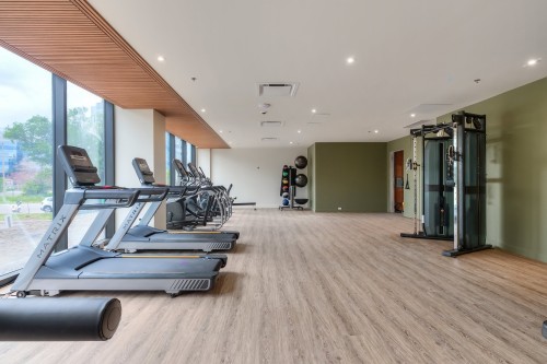 Salle d'exercice - 212-1000 Rue Levert, Montréal (Verdun/Île-Des-Soeurs), QC - Indoor Photo Showing Gym Room