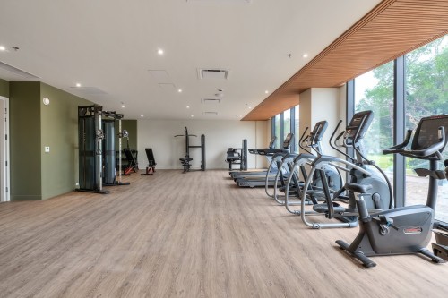 Salle d'exercice - 212-1000 Rue Levert, Montréal (Verdun/Île-Des-Soeurs), QC - Indoor Photo Showing Gym Room