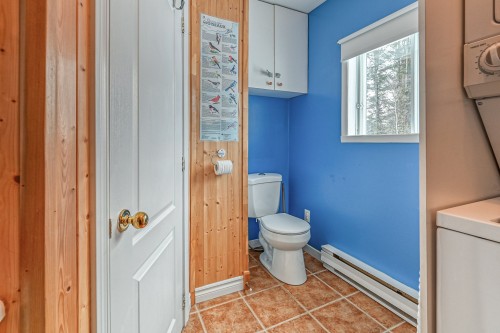 Bathroom - 135 Ch. Bisson N., Amherst, QC - Indoor Photo Showing Bathroom