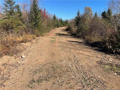 Lot Belledune Rd, Belledune, NB 