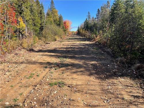 Lot Belledune Rd, Belledune, NB 