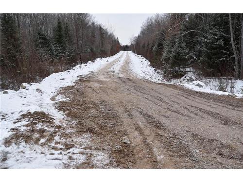 Lot Belledune Rd, Belledune, NB 