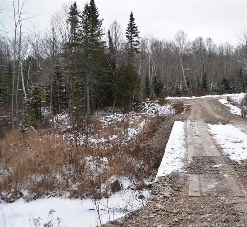 Lot Belledune Rd, Belledune, NB 