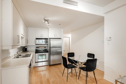 Kitchen - 204-1455 Rue Towers, Montréal (Ville-Marie), QC - Indoor Photo Showing Kitchen With Double Sink
