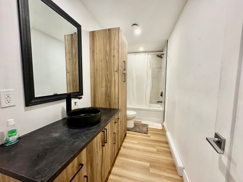 Bathroom - 101-227 Rue St-Jacques, Saint-Jean-Sur-Richelieu, QC - Indoor