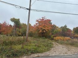 72 Old Harvey RD  Mcadam, NB E6J 1B8