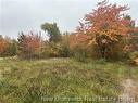 72 Old Harvey Rd, Mcadam, NB 