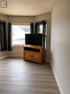 lower unit living room - 