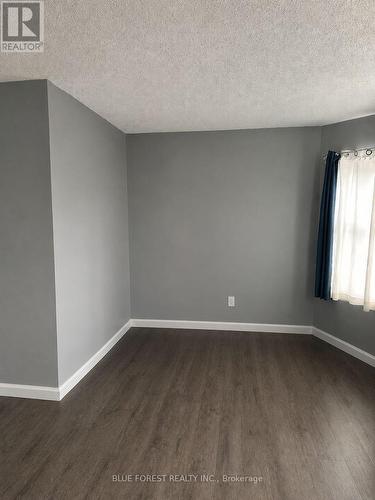 upper unit living room - 23 Barnes Street, St. Thomas, ON - Indoor