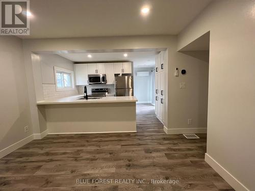 back unit kitchen - 23 Barnes Street, St. Thomas, ON - Indoor