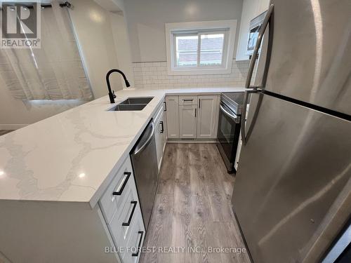 back unit kitchen - 23 Barnes Street, St. Thomas, ON - Indoor Photo Showing Kitchen With Double Sink