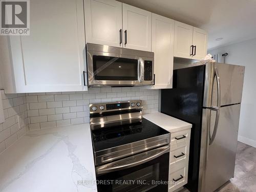 back unit kitchen - 23 Barnes Street, St. Thomas, ON - Indoor Photo Showing Kitchen